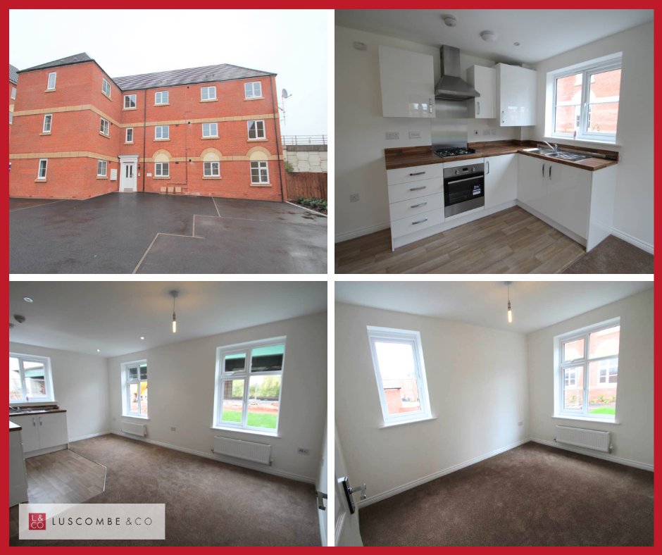 Luscombe Sales tweet media