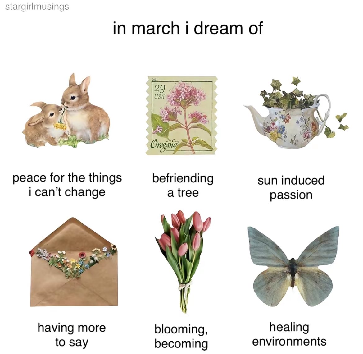 prtygal777's tweet image. 