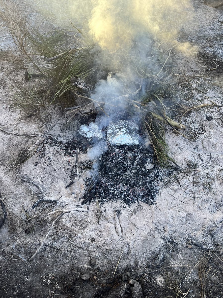 Lunch already in the oven! Pork shoulder in a peri peri rub and backed potato’s! Then a side of garlic prawns! 👏 buried in the coals and left while we head out and cut more broom