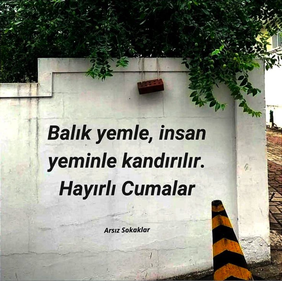 Svcn Uçar (@svcnhoca) on Twitter photo 