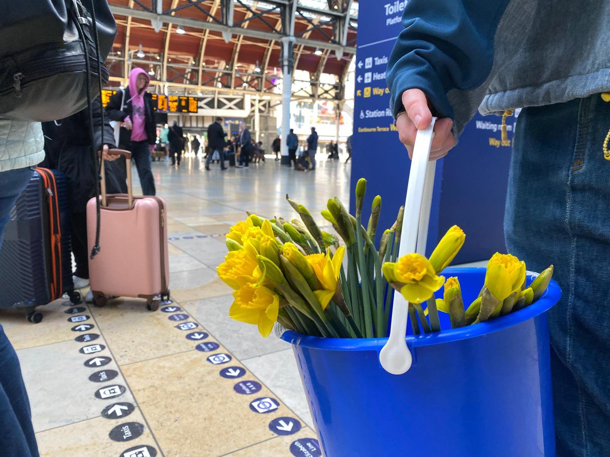 Wales Week / London (@walesweeklondon) on Twitter photo St David’s Day is nearly here! Delighted to see <a href="/tenovuscancer/">Tenovus Cancer Care / Gofal Canser Tenovus</a> handing out daffodils at Paddington this morning - what a great gesture! #walesweeklondon St David’s Day is nearly here! Delighted to see <a href="/tenovuscancer/">Tenovus Cancer Care / Gofal Canser Tenovus</a> handing out daffodils at Paddington this morning - what a great gesture! #walesweeklondon