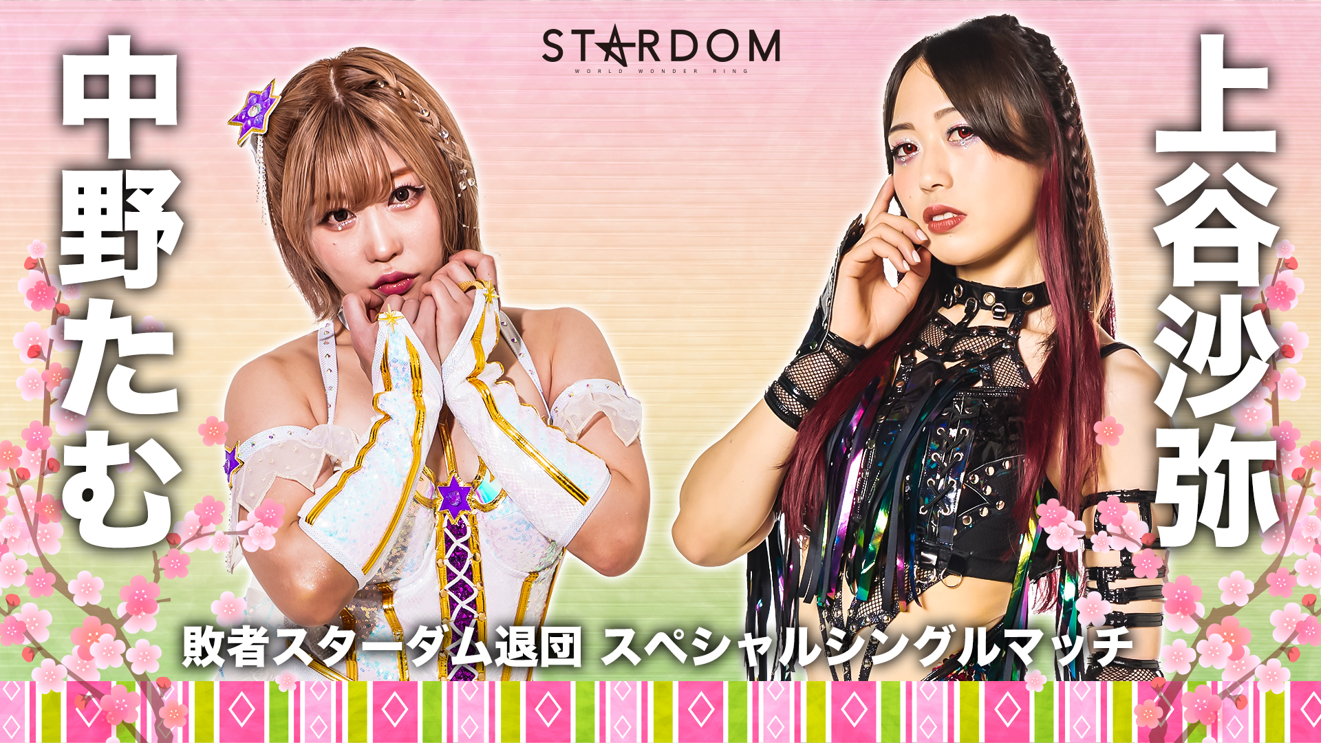 スターダム ワールド3 写真集 Stardom world3 - 2018年発行