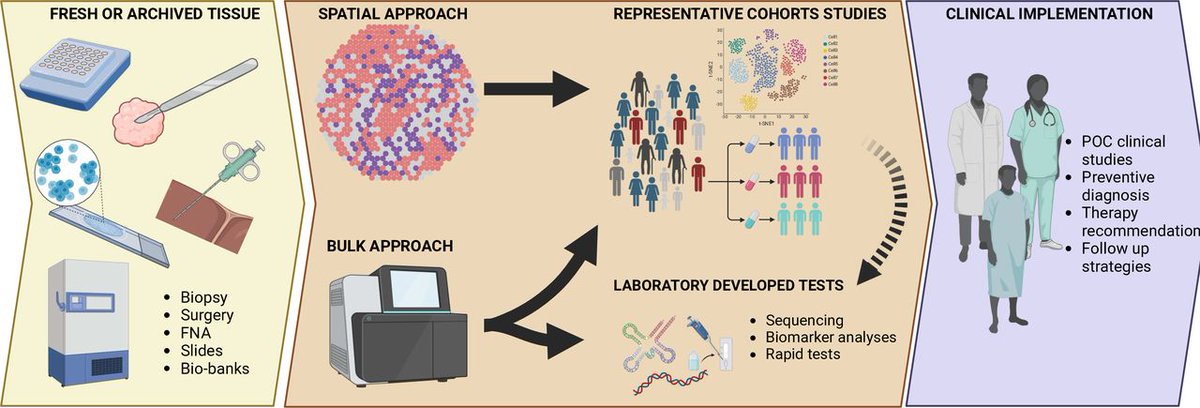 💡Don't miss this perspective in eGastroenterology!💡The perspective, “New dimension in viral hepatitis research” by Massimiliano Cocca and Barbara Testoni from the INSERM U1052, CNRS UMR-5286, Cancer Research Center of Lyon, interprets a proof-of-concept study demonstrates the