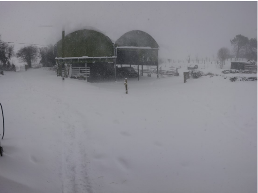 MetEireann's tweet photo. On February 28th, 2018, Storm Emma struck Ireland.
The impacts of #StormEmma and ‘#TheBeastfromtheEast’ were widespread across the country 🌨️
Pic 1: Skerries Co Dublin
Pic 2: Road conditions in Dublin
Pic 3: A farm in Mullingar
Check our Analysis atℹ️https://t.co/B1jeaNVi6s https://t.co/E8Yi4m7uew