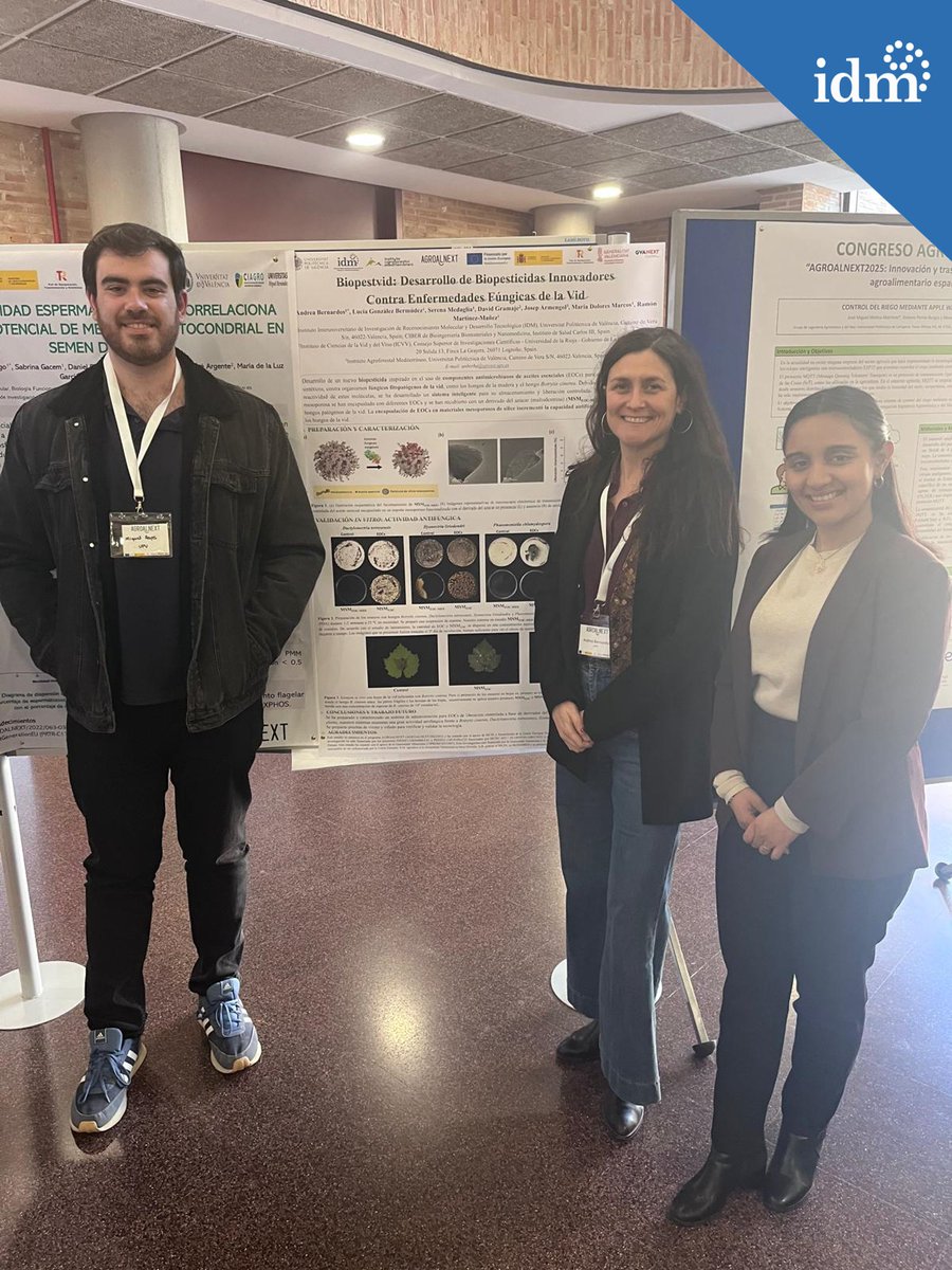 IDM (@idm_upv_uv) on Twitter photo ✨Nuestro compañeros del grupo de NANOSENS, han participado en el congreso <a href="/agroalnext_GVA/">AGROALNEXT_GVA PPCC Agroalimentación</a>.
👥La Dra. Andrea Bernardos (<a href="/andreaberbau/">Andrea Bernardos Bau</a>) y su investigador, Miguel Reyes presentaron sus avances en una comunicación póster. ✨Nuestro compañeros del grupo de NANOSENS, han participado en el congreso <a href="/agroalnext_GVA/">AGROALNEXT_GVA PPCC Agroalimentación</a>.
👥La Dra. Andrea Bernardos (<a href="/andreaberbau/">Andrea Bernardos Bau</a>) y su investigador, Miguel Reyes presentaron sus avances en una comunicación póster.