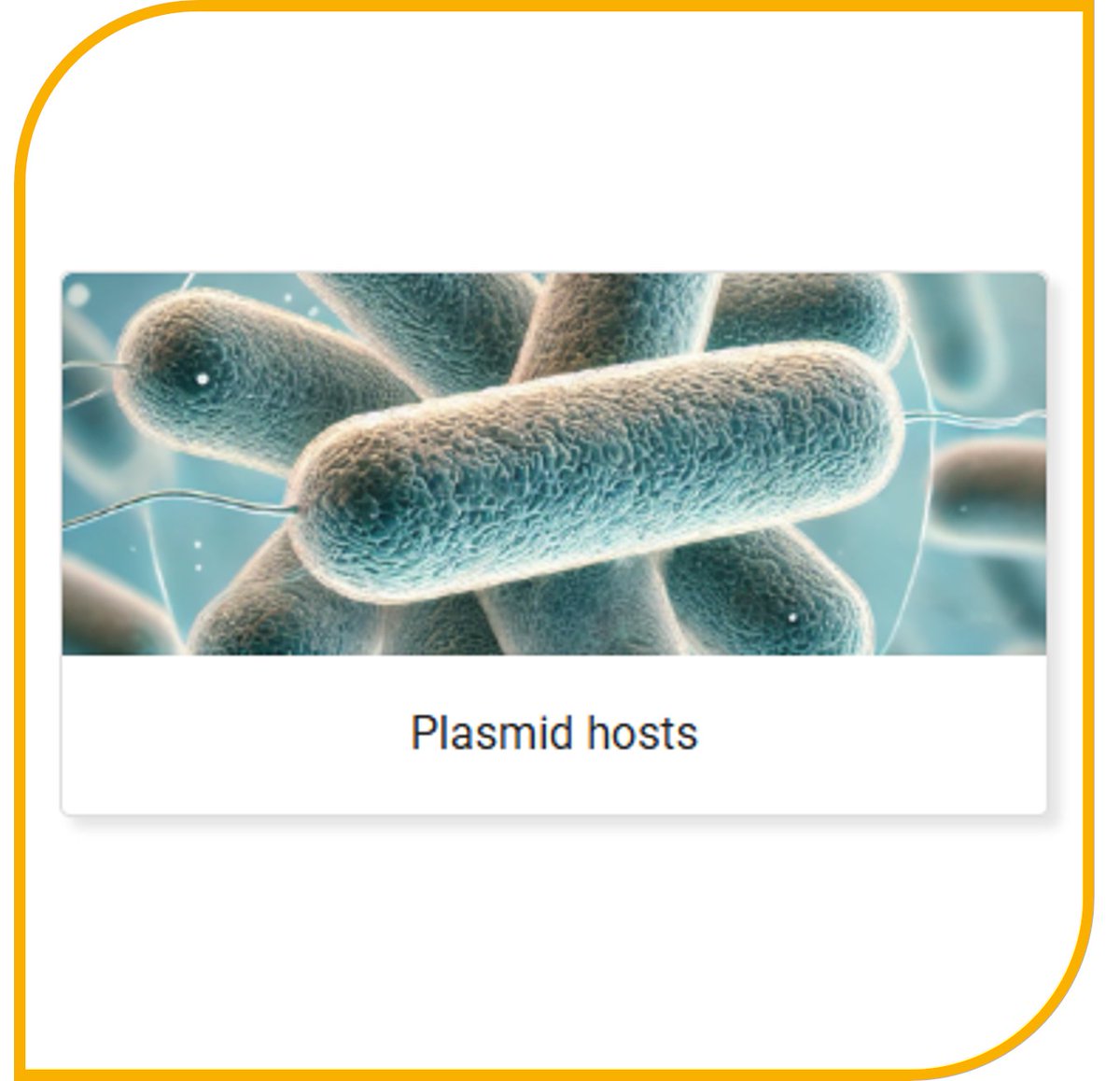 BCCM Collections (@bccmcollections) on Twitter photo GeneCorner hosts a catalog of bacterial & yeast strains optimized for plasmid transformation & expression🔬🧬
Whether you're cloning, expressing proteins, or engineering genes, we have the right strain for you! 
bccm.belspo.be/genecorner-hos…
#SynBio #MolecularBiology #Biotech
<a href="/belspo/">Belspo</a> GeneCorner hosts a catalog of bacterial & yeast strains optimized for plasmid transformation & expression🔬🧬
Whether you're cloning, expressing proteins, or engineering genes, we have the right strain for you! 
bccm.belspo.be/genecorner-hos…
#SynBio #MolecularBiology #Biotech
<a href="/belspo/">Belspo</a>
