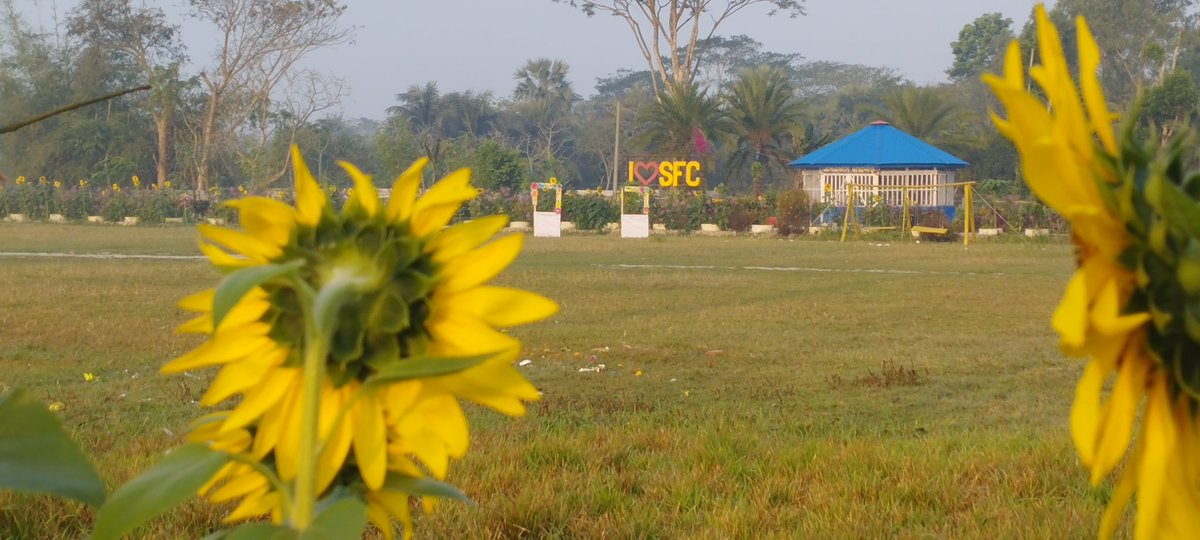 SFC campus view