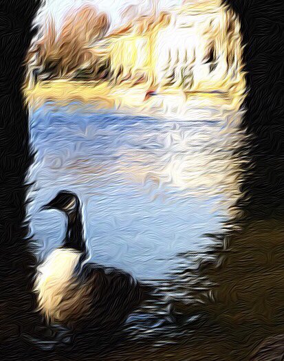 ruths_gallery's tweet image. It’s a little chilly this morning 🥶

#Richmond #winter #canadagoose