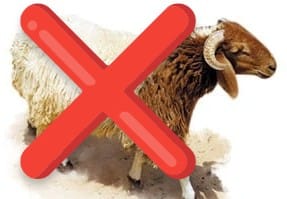 #المغرب
هل توافق وتؤيد الرأي الاجتهادي الذي نحتهُ السُلطات المغربية نحو [تعطيل شعيرة نحر الأُضحية] لهذا العام 1446هـ‍ ، بسبب نازلة الجفاف والجدب.
pollie.app/qd5pq

نعم، أوافق بشدة.
👉 pollie.app/0hzul

لا أوافق.
👉 pollie.app/3534m

محايد.
👉