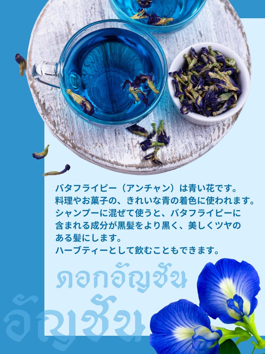 曜日の色✖️タイのドリンク 金曜日は水色🩵 水色のドリンクですが