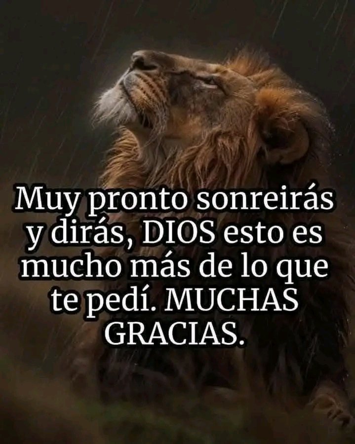 #BuenosDías, un café ☕ una cita bíblica 📘 y una oración 🙏Porque Yo soy el SEÑOR tu Dios, que sostiene tu diestra, Que te dice: 'No temas, Yo te ayudaré.'
(Is. 41,13). Señor tú eres mi protección, mi alegría y sustento. 💫🌷🌿❤️🙏
#FelizViernesATodos ✨