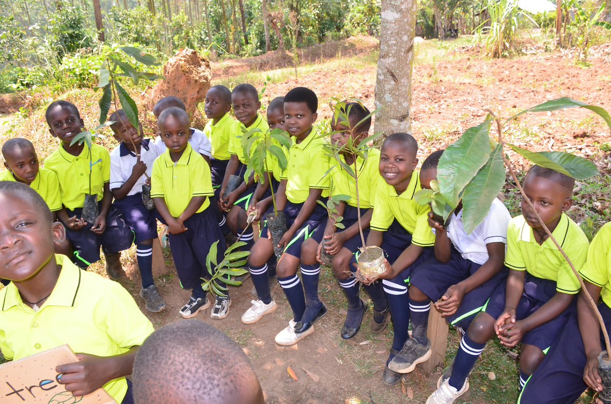 The bond between the young generation and nature is one that needs to be nurtured. Inspiring young people to plant trees,we’re not only providing them with a hands-on experience of ecological responsibility but also fostering a deeper connection <a href="/WillowsSchoolUg/">Willows Nursery and Primary School</a> <a href="/judithcallagha9/">judith callaghan 🌱🌱🌱</a>