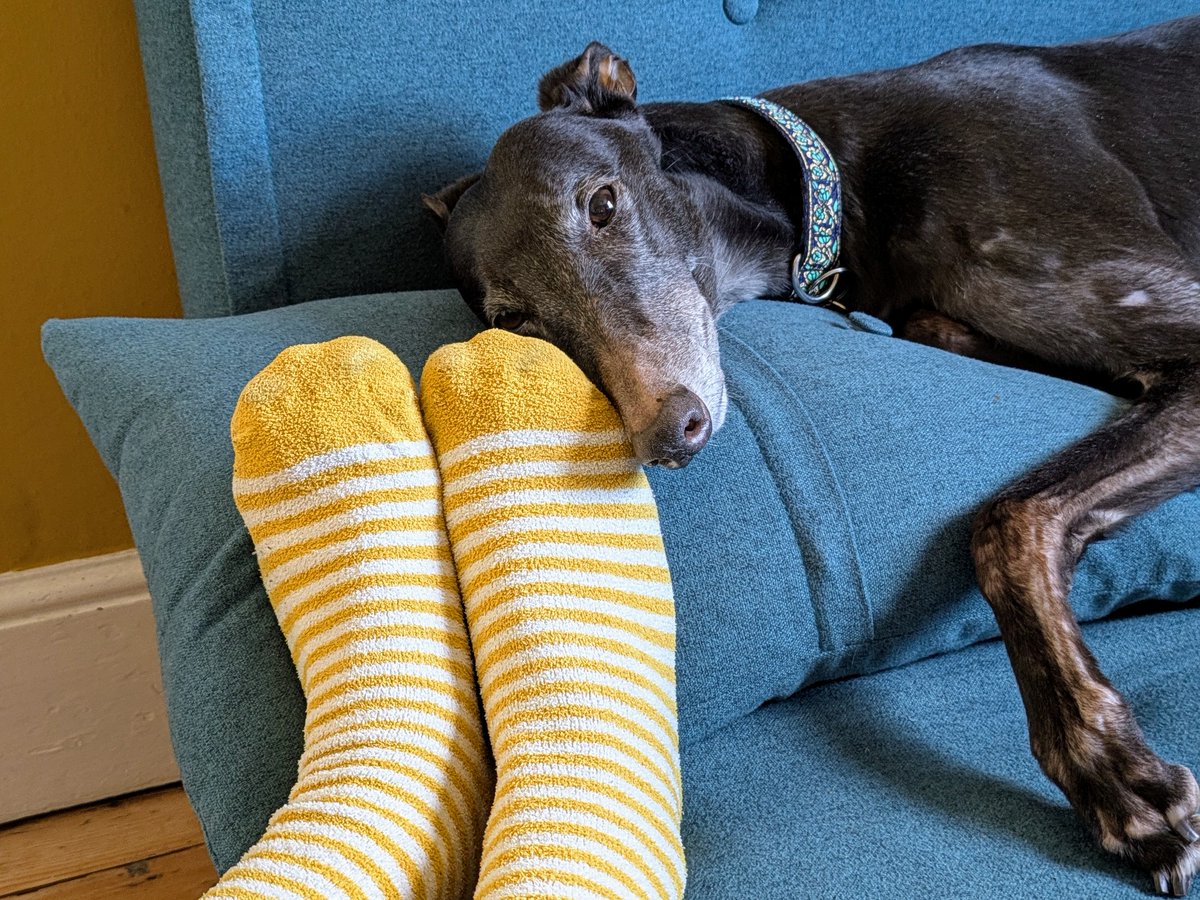 Giving Voice tweet media