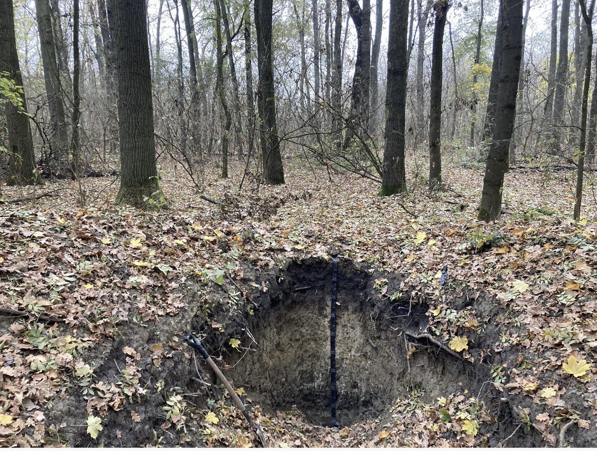 IUSS World Soil of The Year 2025‼️📣🏅