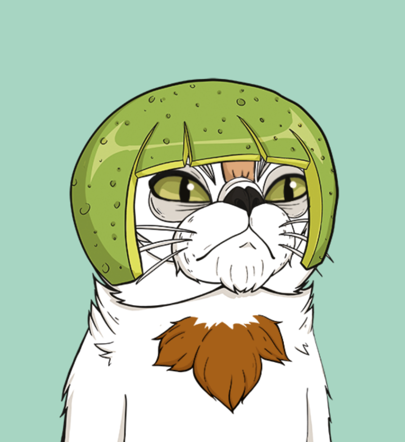 NFTCatClub's tweet photo. 😻Stay Grumpy !!😻 
🎁Many Cats to be discovered 
https://t.co/1Mn7x3iiKf 
🩷Spread the Grumpy Cats🩷 
#minting #gift #nft #crypto #PFP #eth #ethereum #btc #profilepicture #collector https://t.co/xT6ggwLeWv