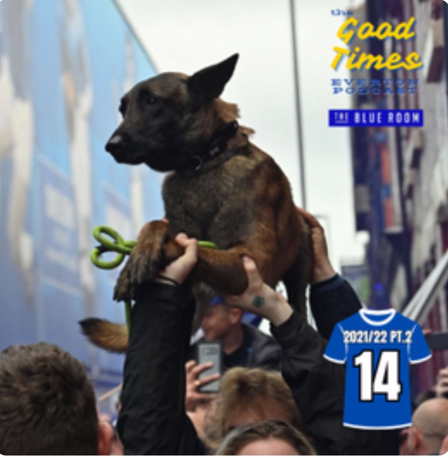 The “Good Times” Everton Podcast (@goodtimesefcpod) on Twitter photo Episode 14 is out NOW on <a href="/TheBlueRoomEFC/">THE BLUE ROOM - EVERTON PODCAST</a> feed wherever you get your podcasts.
Relive the highs(?) and lows of the Toffees second half of 21/22 as the lads have a laugh discussing the beginning of Frank Lampard Junior’s Everton reign. But seriously, lot happened in this episode. Episode 14 is out NOW on <a href="/TheBlueRoomEFC/">THE BLUE ROOM - EVERTON PODCAST</a> feed wherever you get your podcasts.
Relive the highs(?) and lows of the Toffees second half of 21/22 as the lads have a laugh discussing the beginning of Frank Lampard Junior’s Everton reign. But seriously, lot happened in this episode.