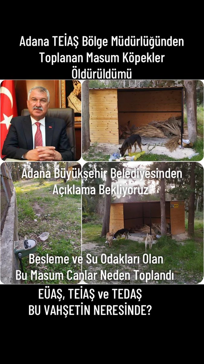 Masum hayvanlar öldürüldümü?
⁦<a href="/ZeydanKaralar01/">Zeydan Karalar</a>⁩ ⁦<a href="/Adana_Bld/">T.C. Adana Büyükşehir Belediyesi</a>⁩ ⁦<a href="/herkesicinCHP/">CHP 🇹🇷</a>⁩ ⁦<a href="/chpadanail/">CHP ADANA İL BAŞKANLIĞI</a>⁩ ⁦<a href="/eczburhan/">Burhanettin Bulut</a>⁩ ⁦<a href="/kurumsalTEIAS/">TEİAŞ | Türkiye Elektrik İletim A.Ş.</a>⁩ ⁦<a href="/euasgovtr/">Elektrik Üretim A.Ş.</a>⁩ ⁦<a href="/TEDASKurumsal/">TEDAŞ Genel Müdürlüğü</a>⁩