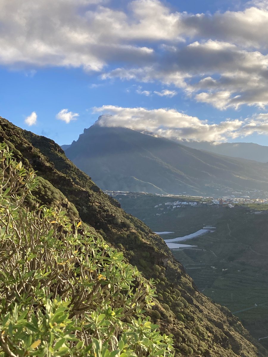 kristofberg's tweet image. Morning pure energy, vertical run on El Time #RunnersLife #Canarias #LaPalma