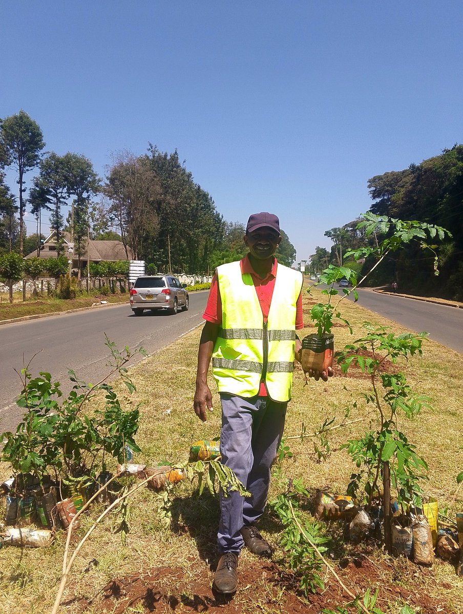 KLDA_Nbi's tweet photo. #treeplanting is now underway, thank you to all stakeholders and donors involved #klda #environment #Sustainability
@metro_alliance_
@parklandspamoja https://t.co/9bQ9lkW0di