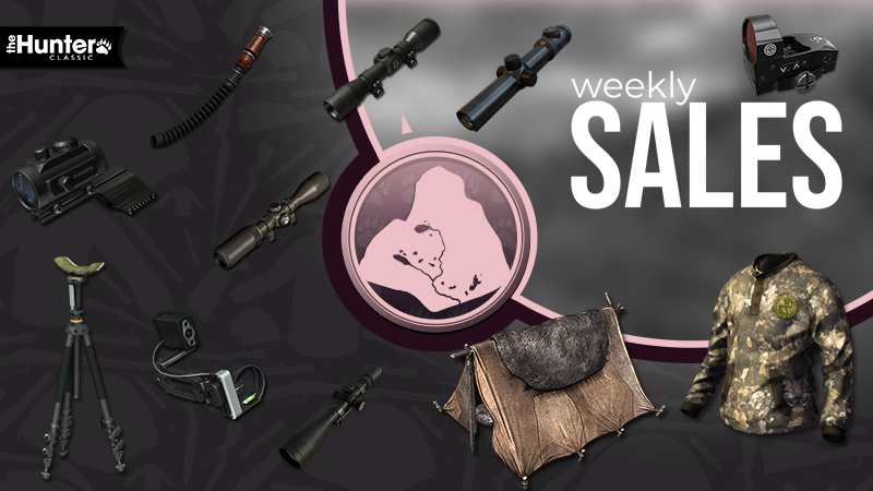 theHunter Classic tweet media