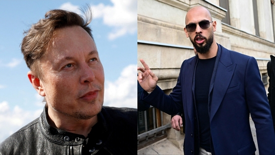 You wanted lower grocery prices and an end to the war in Ukraine? You won't get any of that; instead, you'll get the Tate brothers, measles, and massive government contracts for Elon Musk's companies