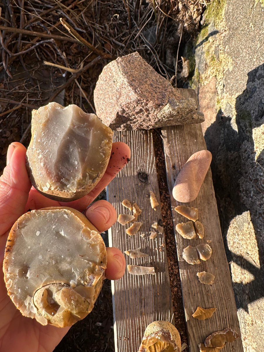 PrehistoricEdge's tweet image. Who says Buchan flint is not knappable?! Lovely work from our in-house stone-whisperer Dr Will Mills #flintfriday #experimentalarchaeology #mesolithic #palaeolithic #iceage