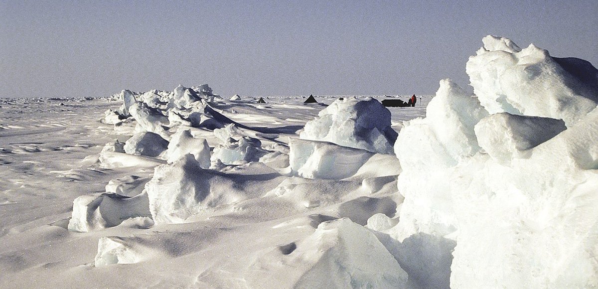 👀📅📌New CFP!!! “From Polarity to Circumpolarity: The Future of Canadian Studies in Europe,” a hybrid international conference to be held at the Centre for Canadian Studies (Stockholm U) on June 17-18, 2026. More information down below: ⬇️⬇️ 
su.se/centre-for-can…