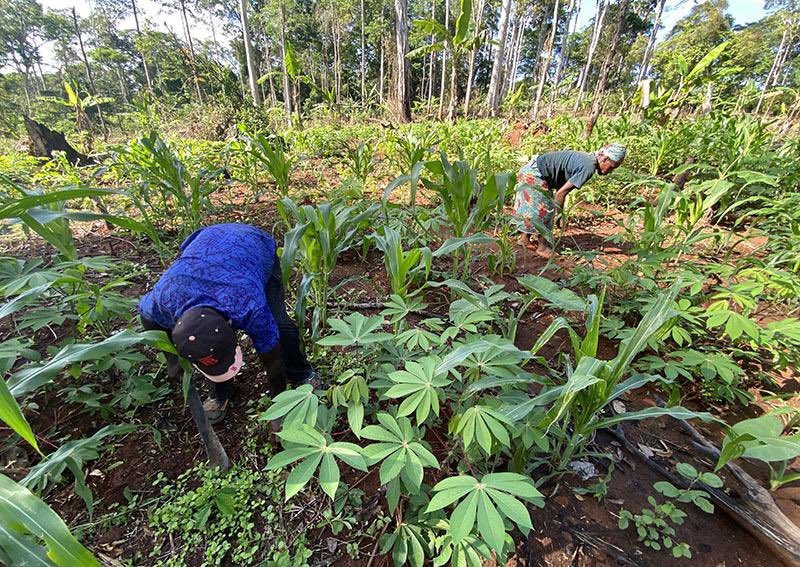 Cher.e.s lectrices et lecteurs d’Agripreneurs d’Afrique si vous aimez notre travail, n’hésitez pas à nous soutenir: 

Par MTN Mobile Money: +237 6 53 10 32 60 

Par Orange Mobile Money: +237 6 95 07 59 37

 (Kouagheu Chemou Josiane)

agripreneursdafrique.com