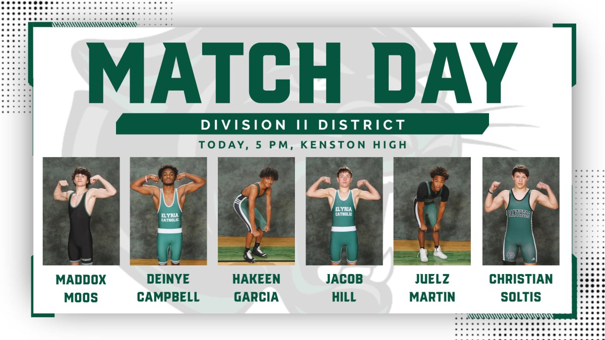 Elyria Catholic Athletics tweet media