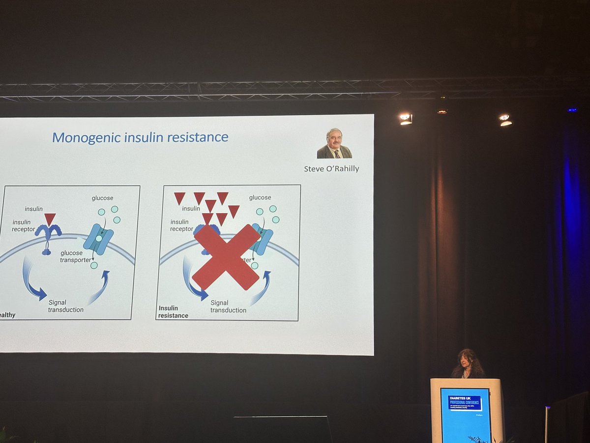 Diabetes UK Research (@duk_research) on Twitter photo Next up on the stage of #DUKPC: Professor Ines Barroso <a href="/InesBarroso4/">Inês Barroso</a> shares insights from her #research journey, showing how her expertise in genetics is helping to answer key questions for people living with #diabetes— all in her inspiring Dorothy Hodgkin Lecture. 🧬 Next up on the stage of #DUKPC: Professor Ines Barroso <a href="/InesBarroso4/">Inês Barroso</a> shares insights from her #research journey, showing how her expertise in genetics is helping to answer key questions for people living with #diabetes— all in her inspiring Dorothy Hodgkin Lecture. 🧬