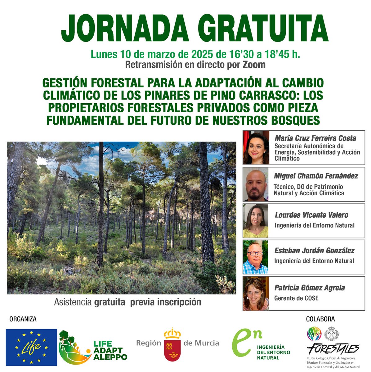 🌲 Jornada virtual gratuita “Gestión forestal para la adaptación al cambio climático de los pinares de pino carrasco y los propietarios forestales privados” 
#Adaptaleppo <a href="/MurciaForestal/">MURCIA FORESTAL</a> <a href="/IEntornoNatural/">I.Entorno Natural</a> @selvicultores

📅Lunes 10/03 🕟16:30
👉🏻Inscríbete goo.su/bIVUE