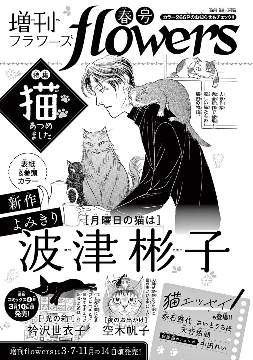 3/14発売の増刊フラワーズ春号は猫特集🐈‍⬛
『光の箱』番外編「ヤミネコと給食」掲載予定です!
コミックス『光の箱』4巻は3/10発売🗓️ 