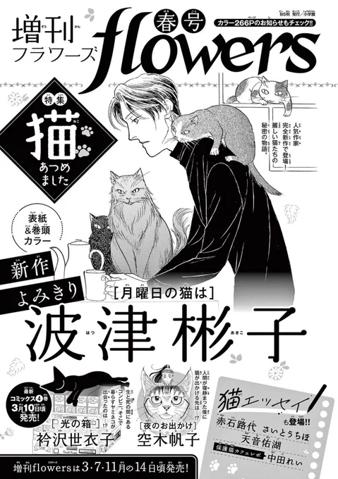 3/14発売の増刊フラワーズ春号は猫特集🐈‍⬛
『光の箱』番外編「ヤミネコと給食」掲載予定です!
コミックス『光の箱』4巻は3/10発売🗓️ 
