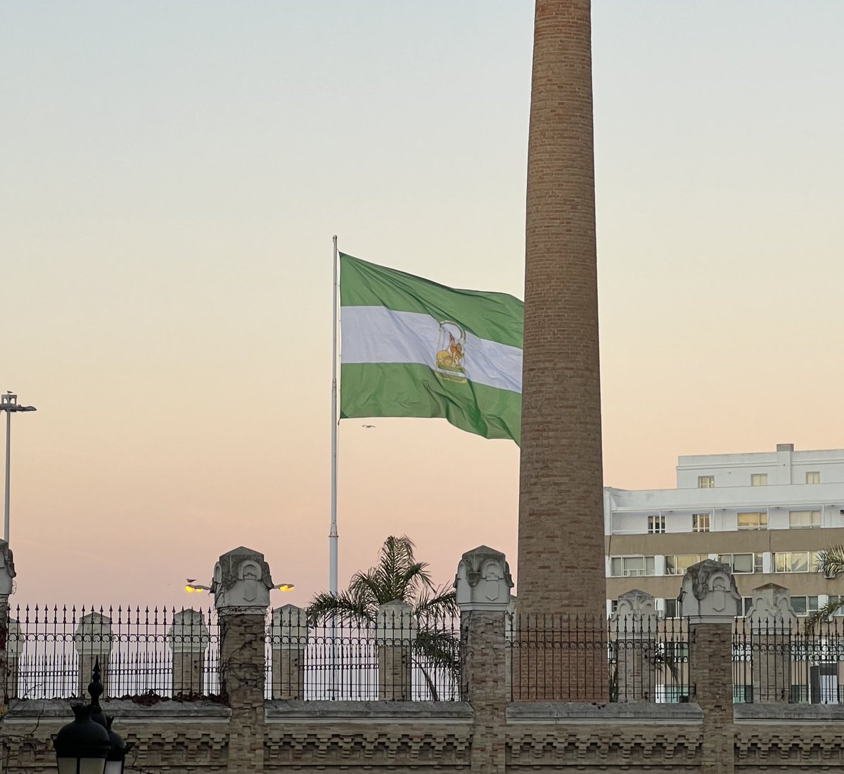 23IsaPerez's tweet photo. Mire donde mire, es verde y blanco
Feliz día de Andalucía!!!💚🤍💚

#28F
#felizdíadeandalucía
#orgulloandaluz https://t.co/O5BlGfTQhi