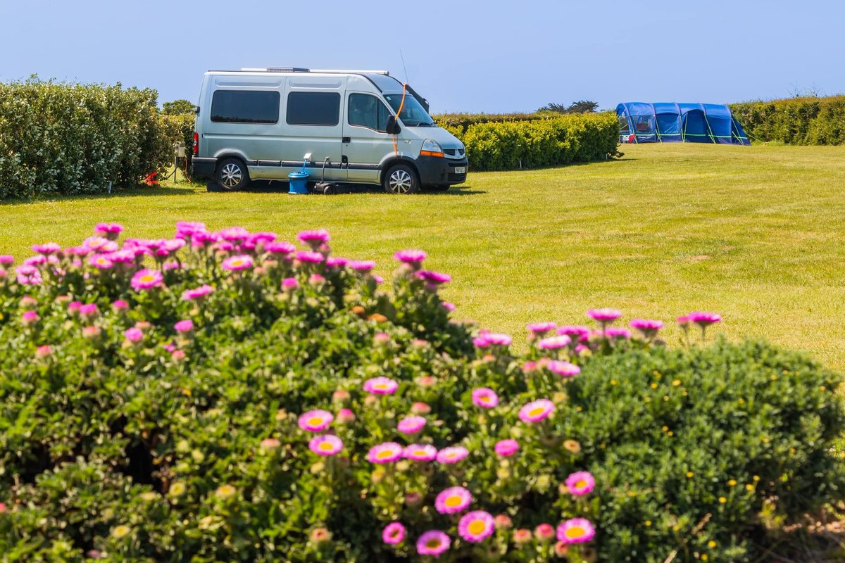 Camping_Direct's tweet photo. π Trewiston Farm Campsite β A True Cornish Camping Experience! βΊπΎ
Set in the beautiful parish of St Minver, just 4.5 miles from Wadebridge, Trewiston Farm Campsite offers a warm, family-friendly welcome on a working farm.
https://t.co/bRxDg7xNgp
#CornwallCamping #StMinver https://t.co/sKqWNzgglF