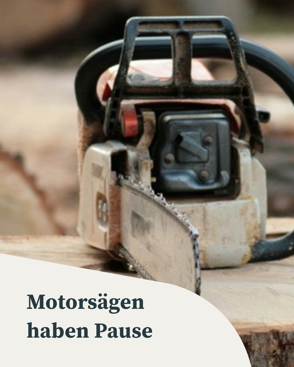 Ab dem 1. März gilt das #Gehölzschnittverbot für #Bäume, #Sträucher, #Hecken und Co.: lwkn.de/gehölzschnittv…