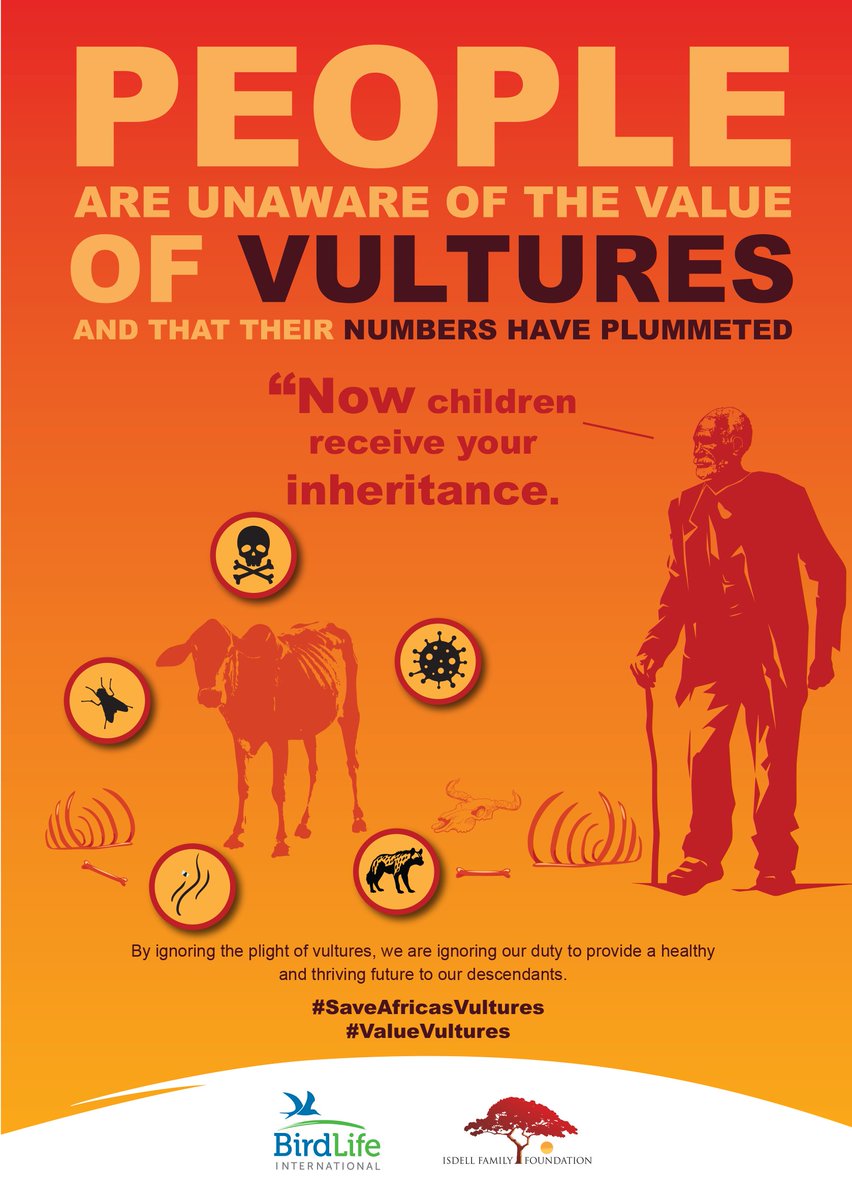 Vultures play a critical role in our ecosystems by preventing the spread of diseases. Without them, carcasses rot, leading to an increase in pests and deadly pathogens that threaten human and animal health.

📢 Raise awareness. Take action. #SaveAfricasVultures