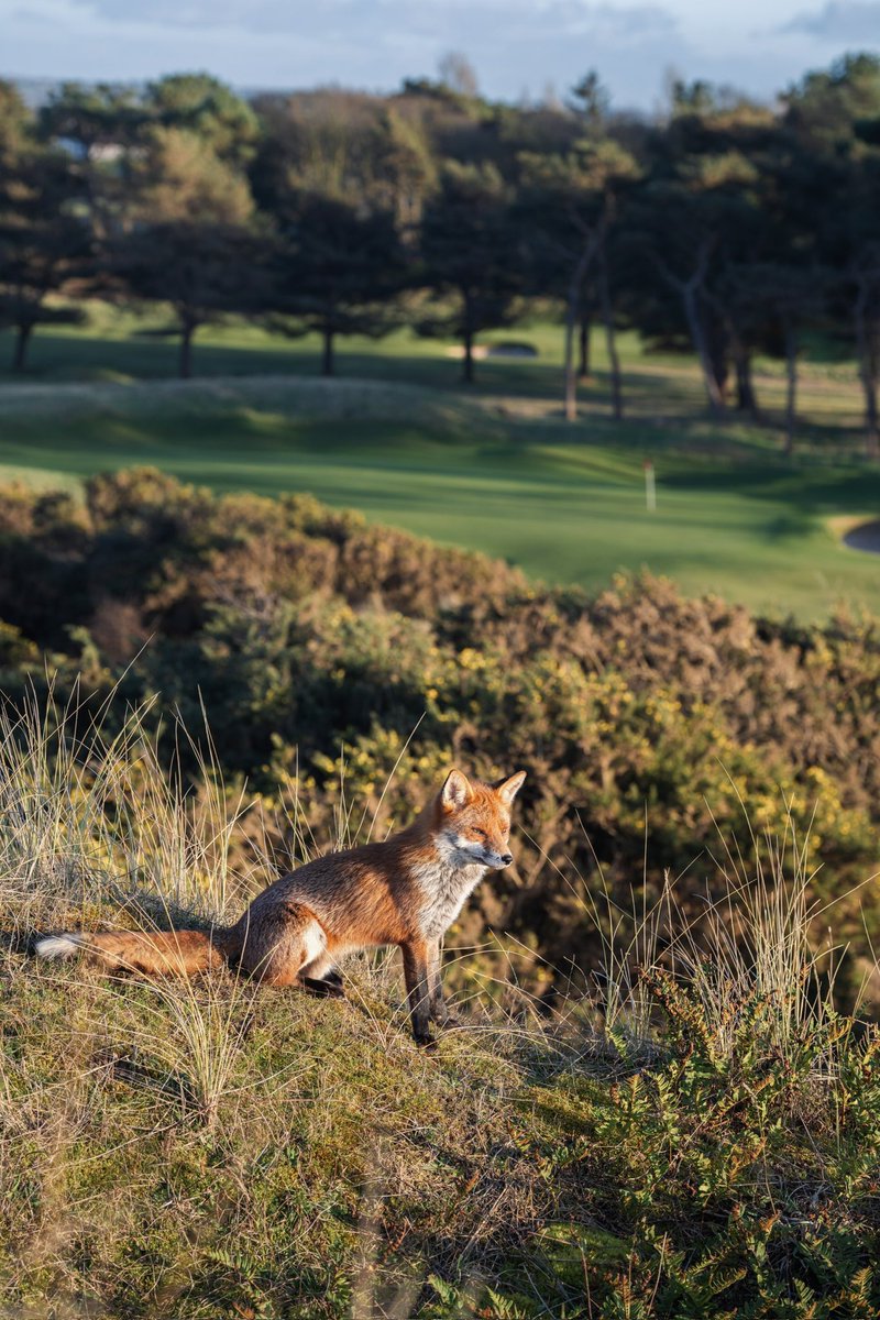 Admiring the view over the 13th