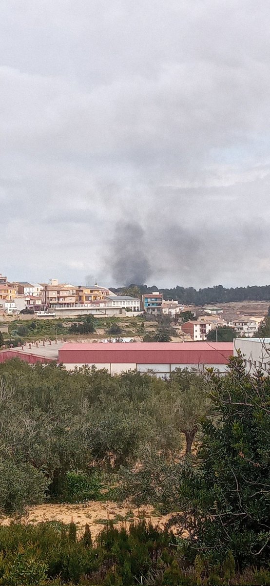 Yiyemo's tweet photo. 🔴🔥@GVA112 Columna de humo negro visto desde @AytoGodelleta https://t.co/oOBGljRnlX
