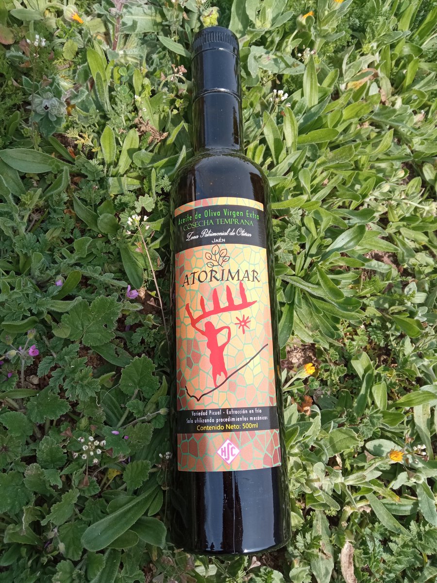 🟢⚪🟢 ¡FELIZ DÍA DE ANDALUCÍA! DESDE HSC. Andalucía es grande gracias a sus gentes y los productos que salen de su tierra.
#otiñar #haciendasantacristina #jaen #andalucia #28f #oleoturismo #atorimar #aove #aceitedeoliva #aceitedeolivavirgenextra #diadeandalucia #mundorural