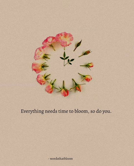 mindfulmaven_'s tweet photo. https://t.co/FC4PuKgQNk