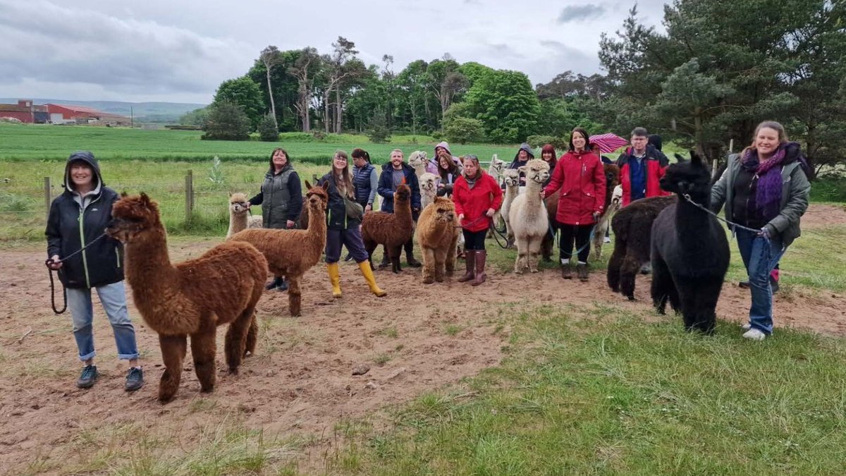 nhslothcharity's tweet photo. We were delighted to support a recent wellbeing &amp; development day for the Midlothian Hospital at Home Team. From informative workshops to fun team-building activities, the day was all about investing in their wellbeing so they can continue to provide exceptional patient care. https://t.co/mPk0TVpj8W