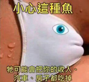老鼠帮助老鼠🐭☝️ tweet media