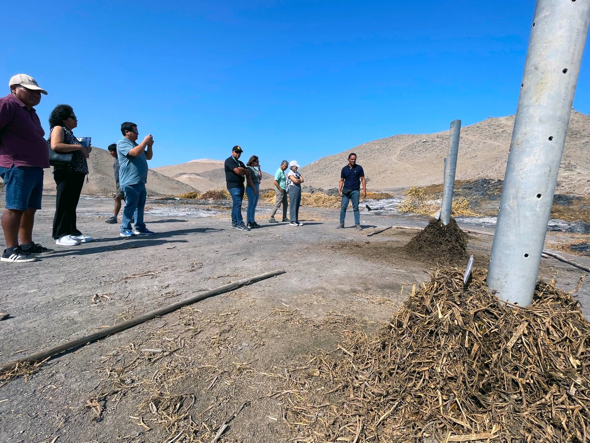 ChasquisDiario's tweet photo. #Pymes #agrícolas de #Azapa se asociaron para fabricar #compost industrial #Arica https://t.co/zyXKU580mz https://t.co/tSUwB4Jgaz