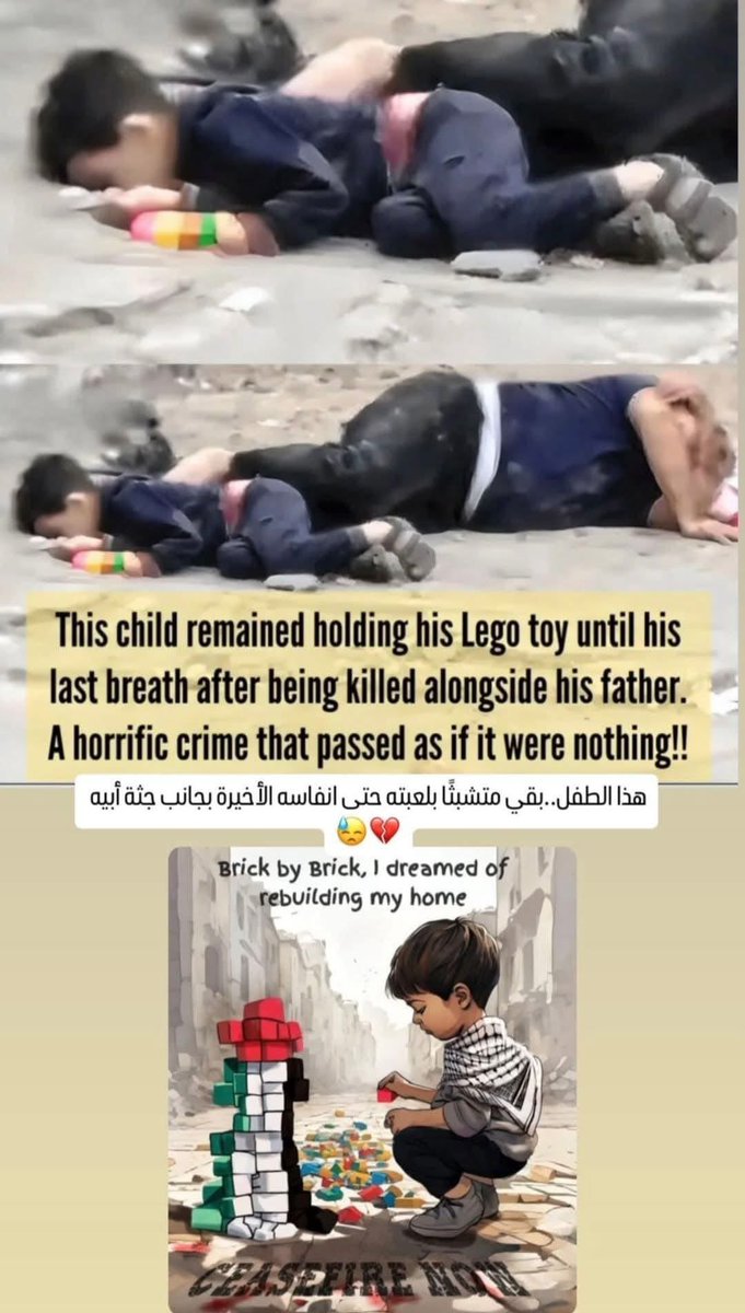 this kid, with Lego in hand. The soft and sweet cheeks are on the ground.
I'm crying, long time I haven't cried with tears and everything.
I don't know how you don't.