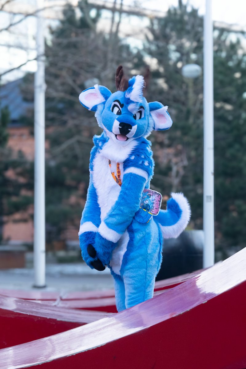 Nordic 🌸 tweet media