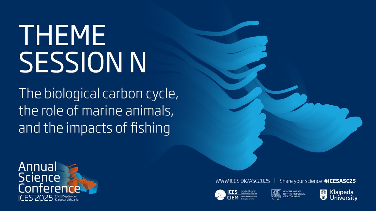 🌊Ocean carbon at #ICESASC25
Do fish influence carbon storage?
Does fishing impact marine carbon?
🗣Share your science on marine food webs, carbon sequestration &amp; fisheries mgmt
🔔Submit your abstract by 17 March
ices.dk/events/asc/202…
<a href="/Paulasilvi/">paula Garcia</a>  <a href="/NaturalEngland/">Natural England</a> @i_vanputten