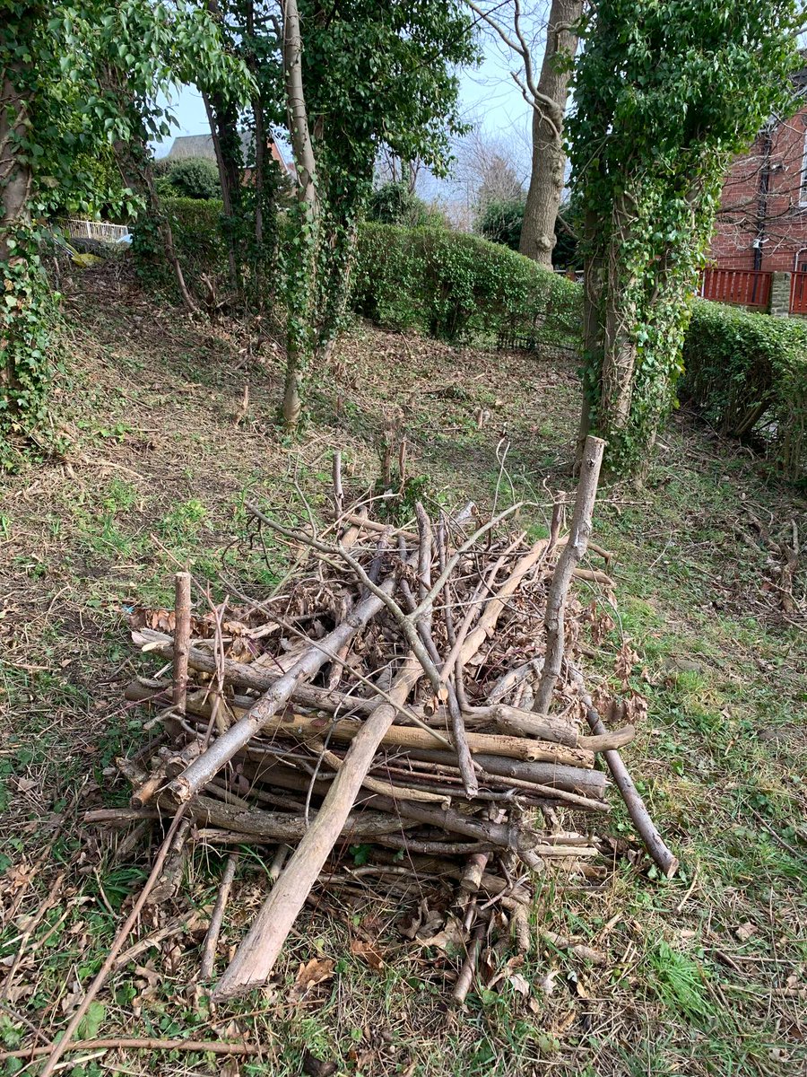 Last week, we joined volunteers at Hollygate Wooded Area for a productive session! First, we tackled a litter pick, then moved on to cutting back overgrowth to help keep the area under control.

Rather than disposing of the 'green waste', we repurposed it into wildlife habitats♻️
