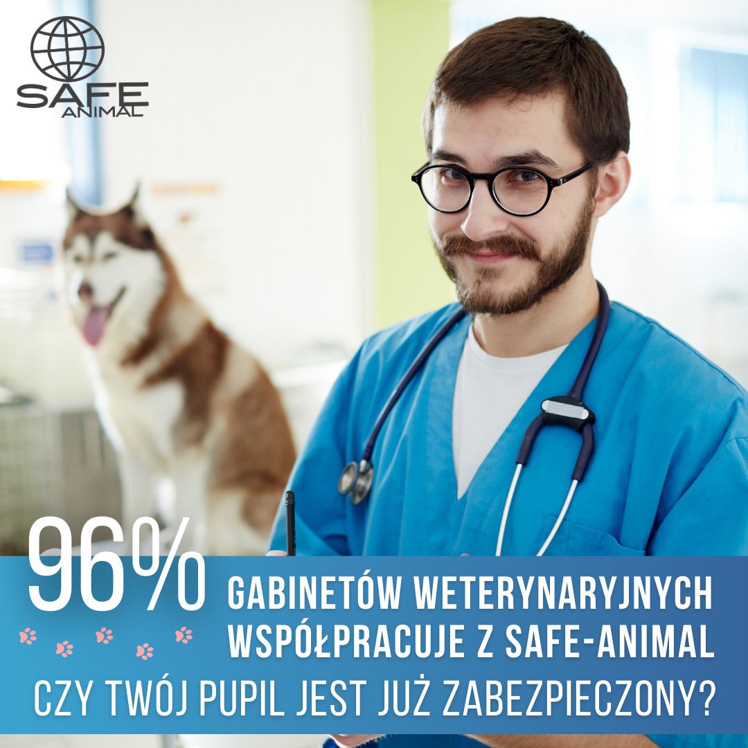 96% aktywnych punktów gabinetów weterynaryjnych współpracuje z #SAFEANIMAL. Dzięki podjętej współpracy właściciele zwierząt otrzymują dokładne informacje dotyczące istoty znakowania zwierząt oraz ich rejestrowania. <a href="/MRiRW_GOV_PL/">Ministerstwo Rolnictwa i Rozwoju Wsi</a> <a href="/szymon_holownia/">Szymon Hołownia</a> <a href="/KosiniakKamysz/">Władysław Kosiniak-Kamysz</a>