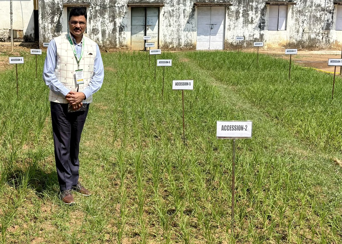 Always feel proud to be in Koraput, one of India's two Globally Important Agricultural Heritage Systems (GIAHS) and an agrobiodiversity hotspot! Pleased to participate in the National Consultation organized by <a href="/mssrf/">MSSRF</a>, working towards promoting community managed seed systems.